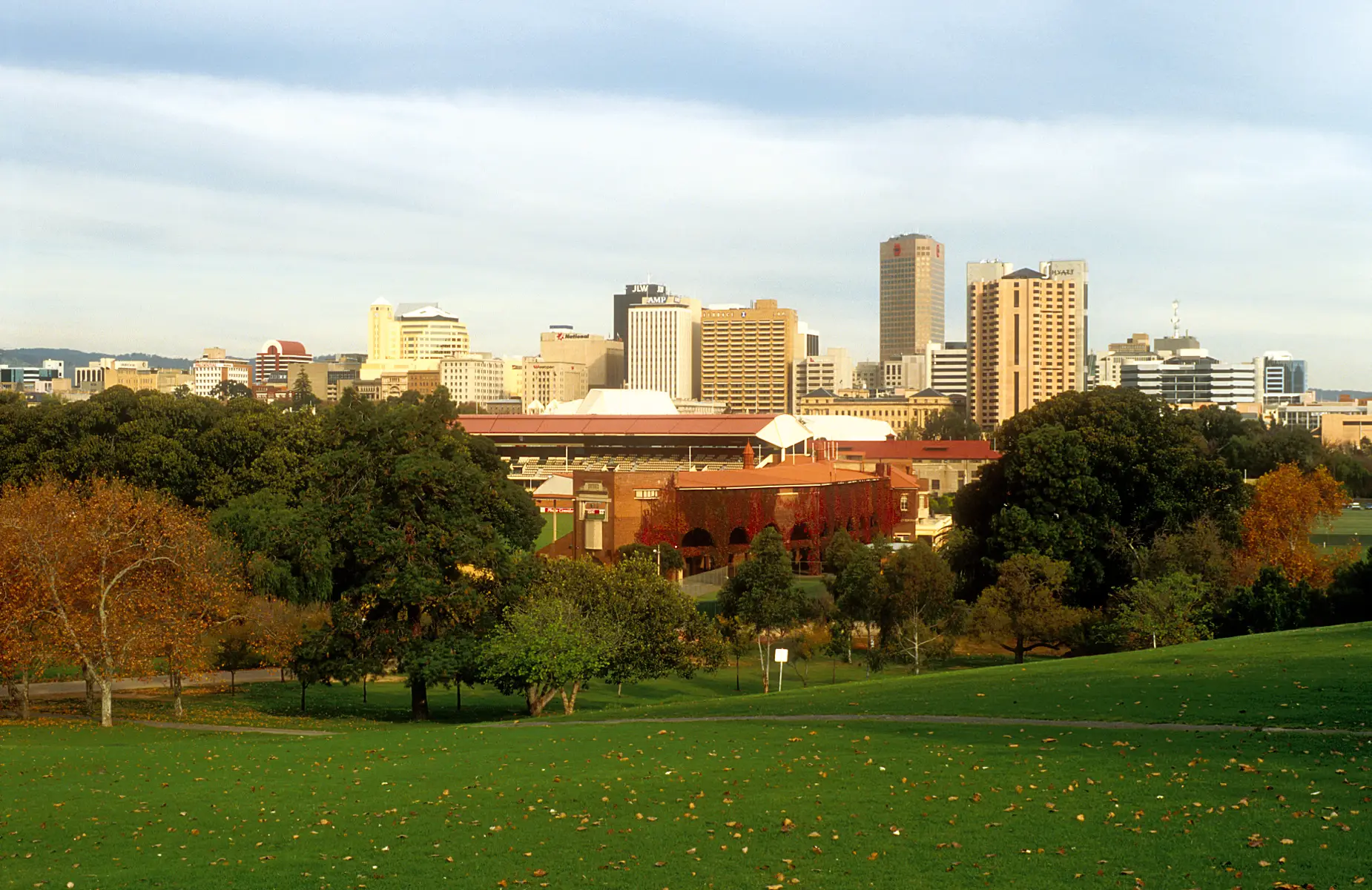 Adelaide city buildings seen across the green parklands and North Adelaide