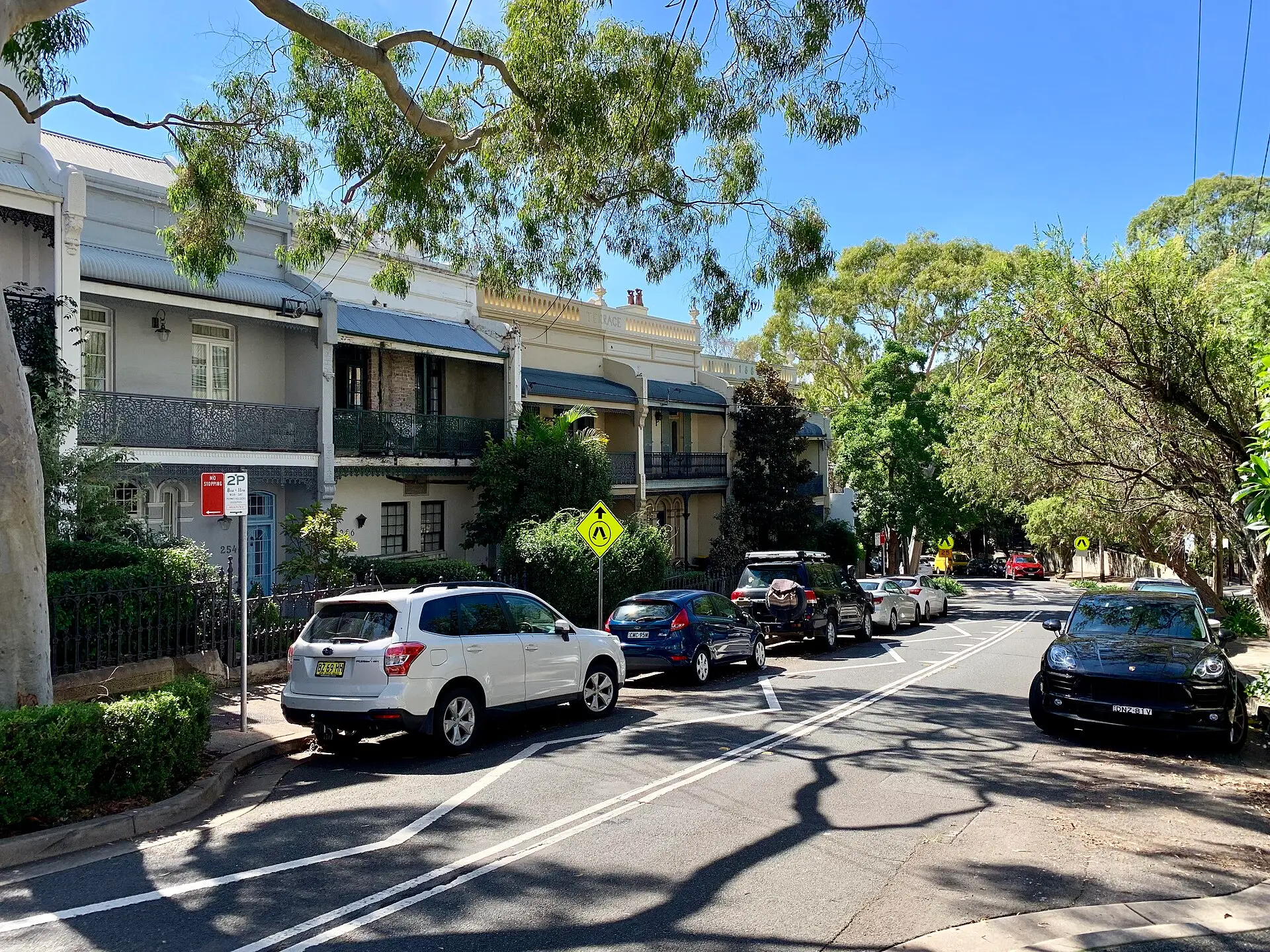 Tree-lined inner Sydney street of terrace houses with cars parked along the kerb